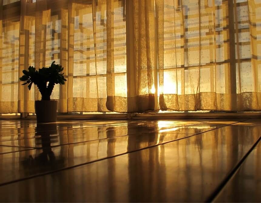 Tulip Blinds #2