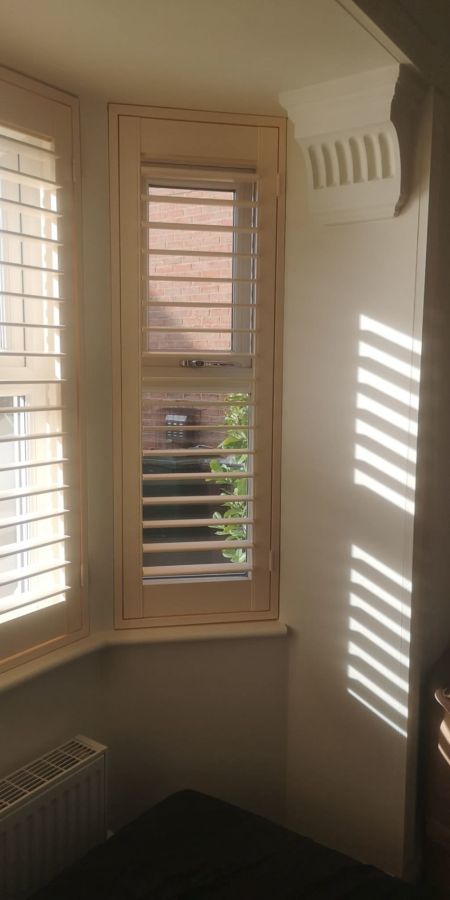 Visionary Blinds #2