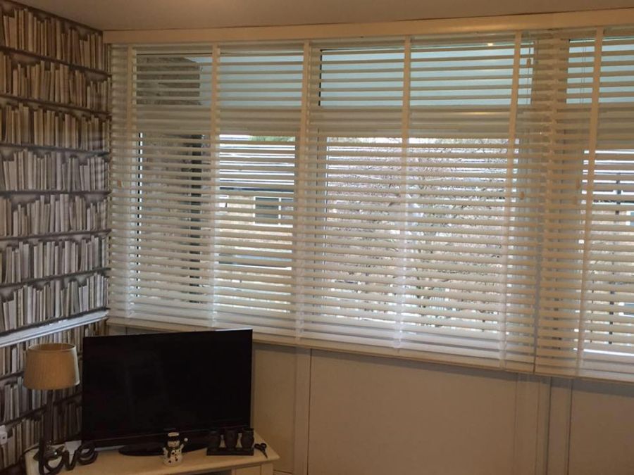 BLINDS EXPERT #3