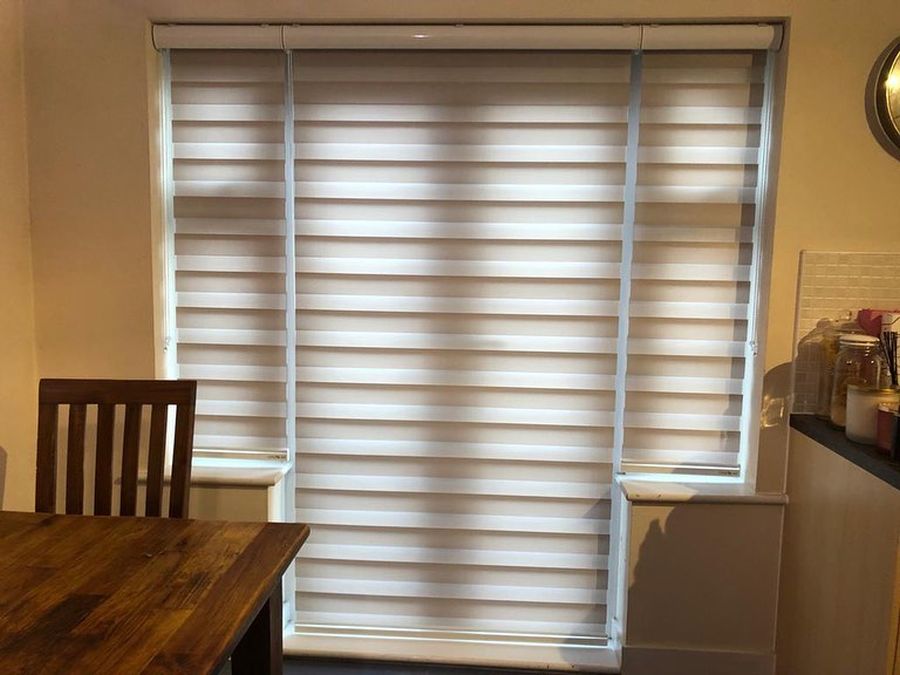 Zebra Blind UK #3