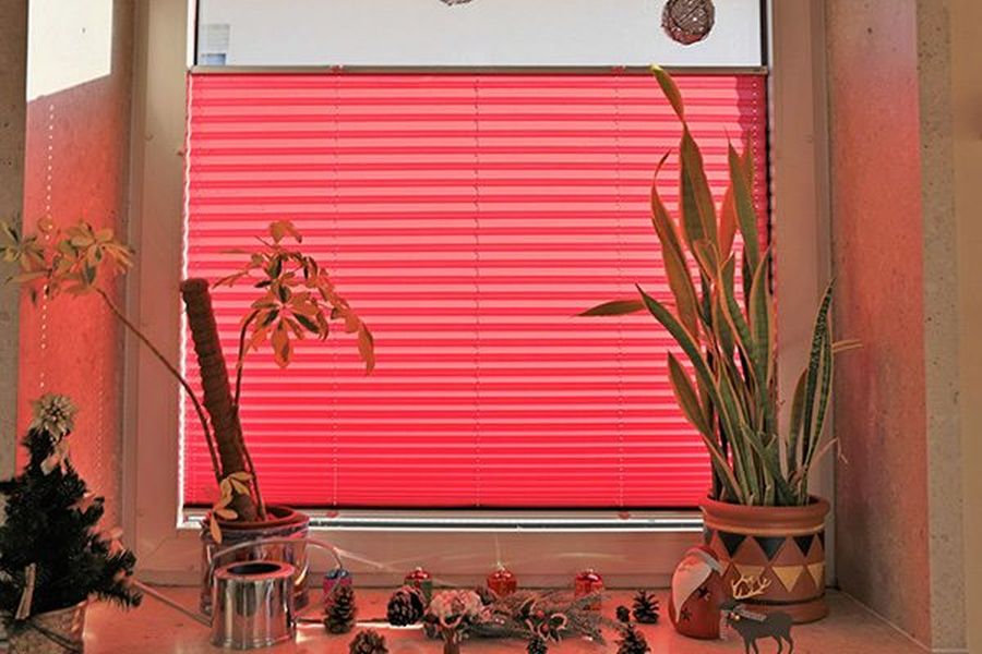 Blinds & Co (Leeds) Ltd #2