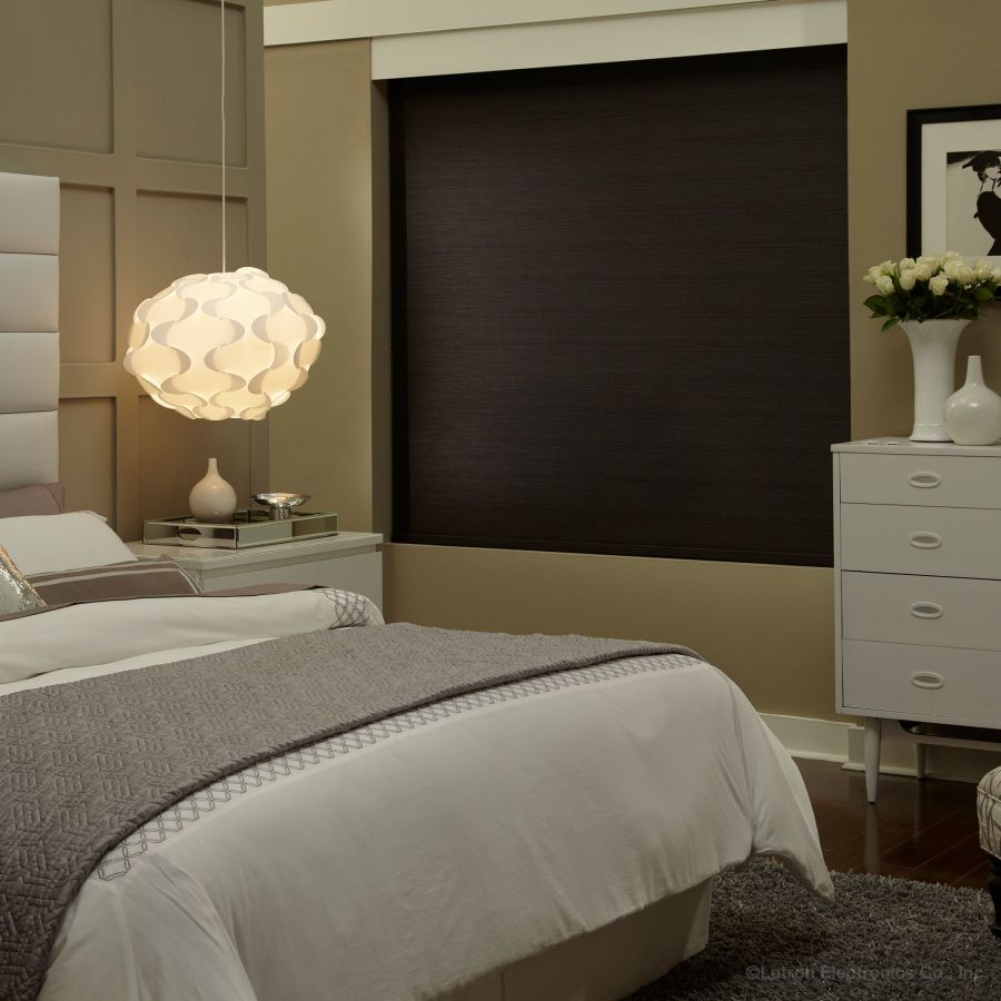 Lutron Electronics #2